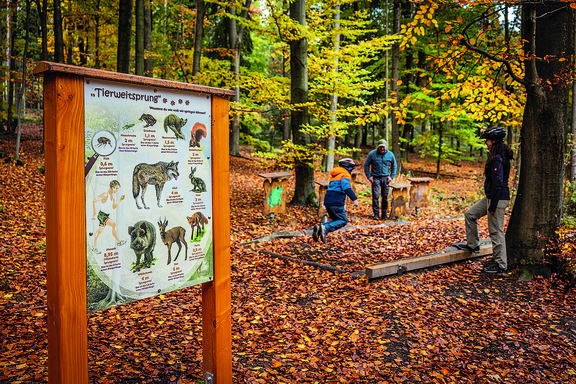 Wir befinden uns in einem Herbstwald. Buntes Laub liegt auf dem Boden. 3 Menschen, ein Kind und seine Eltern, stehen um ein Weitsprungfeld herum, das Kind ist gerade abgesprungen. Im Vordergrund sieht man ein Schild, welches den Titel "Tierweitsprung" trägt. Zu sehen sind die Tiere des Waldes: Frosch, Floh, Heuschrecke, Baummarder, Eichhörnchen, Hase, Fuchs, Reh, Wildschwein, Wolf und ein Mensch.